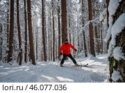 Лыжник в ярком костюме наслаждается зимой в лесу среди деревьев и снега. Стоковое AI-изображение, AI-художник Сергей Никифоров-Гордеев / Фотобанк Лори