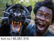 Black panther showing teeth and zookeeper screaming in fear. Стоковое AI-изображение, AI-художник Иван Рябоконь / Фотобанк Лори