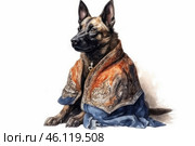 A dog, probably a Belgian Shepherd (Malinois), dressed in ornate traditional clothing. This is a watercolor illustration with soft tones and smooth color transitions. The dog sits proudly and attentively looking ahead. Its cape is made in warm colors, with patterns reminiscent of oriental or Russian ornaments, and the lower part of the garment has blueish tones. The background is minimalist, white, which emphasizes the details of the pattern and the texture of the fabric. Стоковое AI-изображение, AI-художник Анна Кривицкая / Фотобанк Лори