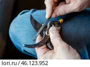 A man sharpens the blade of a garden pruner with a file. Garden tools. Стоковое фото, фотограф Коханова Наталья / Фотобанк Лори