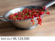 Мытые ягоды красной смородины в дуршлаге. Стоковое фото, фотограф Александр Синдерев / Фотобанк Лори