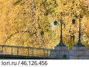 Фонари Краснофлотского моста через реку Мойку в Санкт-Петербурге. Осень. Вид с Поцелуева моста (2014 год). Стоковое фото, фотограф Александр Алексеев / Фотобанк Лори