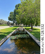 Pond with water lilies on the campus of the Weizmann Institute of Science (2024 год). Стоковое фото, фотограф Irina Opachevsky / Фотобанк Лори
