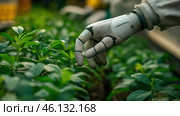 Robotic hand tending to young plants in a greenhouse during daylight hours. Стоковое AI-изображение, AI-художник Katsiaryna Repich / Фотобанк Лори