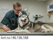 A man in a green shirt is petting a dog. Стоковое AI-изображение, AI-художник Ярославский Максим / Фотобанк Лори
