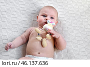 Cute Newborn Baby Lying on the Back and Plays with Colorful Toys. Little Three Month Child Takes a Toy. Portrait of Playful Neonate Toddler. Concept of Childhood, New Life, Baby Care. Top View. Стоковое фото, фотограф Марина Демидюк / Фотобанк Лори