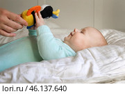 Cute Newborn Baby Lying on the Back and Plays with Colorful Toys. Little Three Month Child Takes a Toy. Portrait of Playful Neonate Toddler. Concept of Childhood, New Life, Baby Care. Top View. Стоковое фото, фотограф Марина Демидюк / Фотобанк Лори