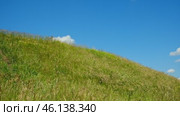Green field against the blue sky. Horizon View from small hills. Looking up. Perfect Summer minimalist Nature background. idyllic rural landscape. Meadow and deep blue cloudy skies. Copyspace. Стоковое видео, видеограф Марина Демидюк / Фотобанк Лори