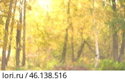 Fall blurred background. Out of focus video footage. Autumn nature leaves Blur background. Sun shines through blowing on wind yellow and orange foliage. Shining sun through a golden fall tree. Стоковое видео, видеограф Марина Демидюк / Фотобанк Лори