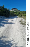 A picturesque Crimean landscape with a dirt road leading to a massive flat-topped rock. This mountain features steep cliffs and layered limestone rocks, which is typical of many Crimean mountain ranges. The lower part of the mountain is covered with dense green trees and bushes, creating a contrast with the dry, rocky slope.Mountain definition:The image probably depicts Mount Kyz-Kermen, one of the notable Crimean flat-topped mountains located near Bakhchisaray. This is an ancient cave settlement, used in the Middle Ages as a fortified settlement. The mountain has expressive rock ledges and grottoes, which can be seen in the photograph. Стоковое фото, фотограф Анна Кривицкая / Фотобанк Лори