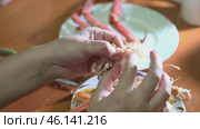 female hands skillfully extracting cooked crab meat from its shell and legs at a kitchen table. Nearby, remnants of the enjoyed crab meal are visible on a plate. Стоковое видео, видеограф Татьяна Степанищева / Фотобанк Лори