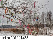 A tree with thin, bare branches, on which multi-colored scraps of fabric and ribbons are hung. The multi-colored elements create a bright contrast with the snow-covered background and winter landscape. Such tree decoration can have a ritual or symbolic meaning, for example, be associated with folk traditions, rituals for the fulfillment of wishes or memorable events. Behind you can see a winter forest and a field covered with snow, creating an atmosphere of silence and mystery. Стоковое фото, фотограф Анна Кривицкая / Фотобанк Лори
