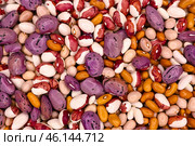 Фасоль разных сортов (фиолетовая, белая, коричневая, бежевая, разноцветная), перемешанная. Фон. Фотообои. Бобовые. Красочная фотография. Стоковое фото, фотограф Зинаида Никитенко / Фотобанк Лори
