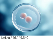 Petri dish with fertilized egg cells. Стоковое AI-изображение, AI-художник Башкирова Анна / Фотобанк Лори