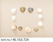 Collection of seashells arranged in a circular pattern on beige background setting a tranquil marine atmosphere. Стоковое фото, фотограф Сергей Толмачёв / Фотобанк Лори