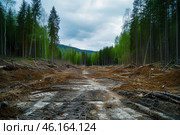 Clear cut forest area showing uprooted trees and barren land under a cloudy sky in spring. Стоковое AI-изображение, AI-художник Sergey Grishin / Фотобанк Лори