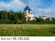 Cathedral of the Nativity of the Blessed Virgin Mary (Theotokos-Nativity Cathedral) of the Suzdal Kremlin on a summer sunny day, Vladimir region, Russia. Стоковое фото, фотограф Ula Ulachka / Фотобанк Лори