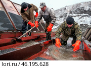 Старатели вскрыли промышленный прибор ( промывочное устройство ) и сейчас начнут извлекать золото, которое осело на дне машины, в результате промывки. Восточная Сибирь, Якутия, Оймяконский район (2009 год). Редакционное фото, фотограф Павел Просянов / Фотобанк Лори