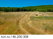 Крымское поле - колея, оставленная колёсами. Стоковое фото, фотограф Snezka / Фотобанк Лори