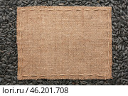 Frame made of burlap with the line lies on  sunflower seeds. Стоковое фото, фотограф Александр Собко / Фотобанк Лори