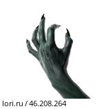 Halloween green witch's or zombie's hand isolated on white. Стоковое фото, фотограф Pixel_shot / Фотобанк Лори