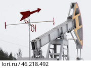Республика Татарстан. Нефтяной станок-качалка и флюгер. Стоковое фото, фотограф Егор Алеев / ТАСС / Фотобанк Лори