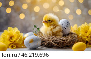The concept of a bright Easter holiday. Delicate Easter eggs, yellow chickens, chicken and daffodil flowers on a pastel watercolor background with delicate veins. Стоковое AI-изображение, AI-художник Photojuli / Фотобанк Лори