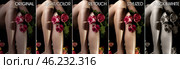 Perfect woman legs with rose flowers before and after retouching by photo editors. Collage set image of before and after chic skin processing. Edited photos being compared concept. Copy ad text space. Стоковое фото, фотограф Aleksandr Golubev / Фотобанк Лори