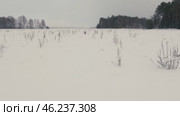 Walking Through a Snowy Field in a Winter Storm From First-Person View. Стоковое видео, видеограф Dzmitry Astapkovich / Фотобанк Лори