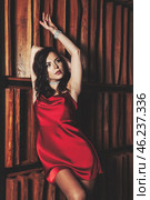 Elegant Woman Dressed in Red Enjoys an Evening in a Chic Restaurant, Casting Intriguing Shadows. Стоковое фото, фотограф Aleksandr Golubev / Фотобанк Лори