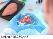 Scientist holding Petri dish with meat sample in laboratory, closeup. Стоковое фото, фотограф Pixel_shot / Фотобанк Лори
