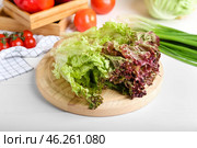 Board with fresh Lollo Rosso lettuce on white wooden background. Стоковое фото, фотограф Pixel_shot / Фотобанк Лори
