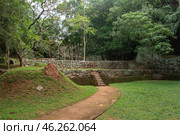 Водный сад ( water garden ) у подножия Львиной скалы. Руины крепости Сигирия (Sigiriya), Шри-Ланка. Стоковое фото, фотограф Дымов Игорь / Фотобанк Лори