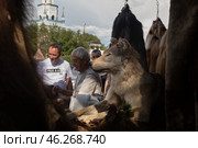 Блошинный рынок в Измайловском кремле, Москва. Продажа меховых изделий (2024 год). Редакционное фото, фотограф Evgenia Shevardina / Фотобанк Лори