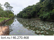 Ров с водой вокруг руин крепости Сигирия (Sigiriya) на Львиной скале в Шри-Ланке. Стоковое фото, фотограф Дымов Игорь / Фотобанк Лори