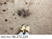 Little girl in muddy shoes messing up carpet at home. Стоковое фото, фотограф Pixel_shot / Фотобанк Лори