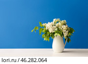 Vase of white lilacs on wooden table near blue wall. Стоковое фото, фотограф Pixel_shot / Фотобанк Лори