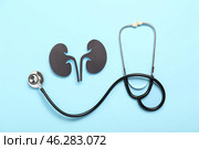 Paper kidneys and stethoscope on blue background. Стоковое фото, фотограф Pixel_shot / Фотобанк Лори