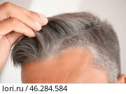Man with graying hair, closeup. Стоковое фото, фотограф Pixel_shot / Фотобанк Лори
