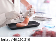 Scientist examining meat sample in laboratory. Стоковое фото, фотограф Pixel_shot / Фотобанк Лори