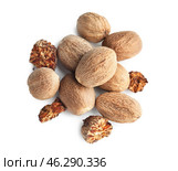 Nutmegs on white background. Стоковое фото, фотограф Pixel_shot / Фотобанк Лори