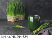 Glass with fresh wheatgrass juice on dark background. Стоковое фото, фотограф Pixel_shot / Фотобанк Лори