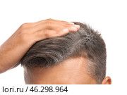 Man with graying hair on white background, closeup. Стоковое фото, фотограф Pixel_shot / Фотобанк Лори
