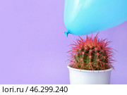 Cactus and air balloon on color background. Стоковое фото, фотограф Pixel_shot / Фотобанк Лори