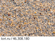 Таиланд. Ко Чанг. Много морских ракушек на берегу моря. Thailand. Koh Chang. There are many seashells on the seashore. Стоковое фото, фотограф Алексей Смышляев / Фотобанк Лори