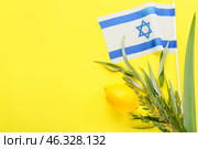 Sukkot festival symbols and flag of Israel on color background. Стоковое фото, фотограф Pixel_shot / Фотобанк Лори