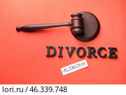 Words ALIMONY and DIVORCE with judge gavel on color background. Стоковое фото, фотограф Pixel_shot / Фотобанк Лори