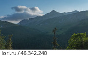 Pine trees in mountains at sunset. Стоковое видео, видеограф Михаил Коханчиков / Фотобанк Лори