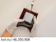 Hands in gloves holding blood pack for transfusion on white background. Стоковое фото, фотограф Pixel_shot / Фотобанк Лори