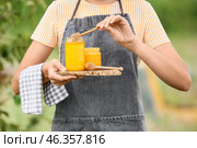 Female beekeeper with honey at apiary. Стоковое фото, фотограф Pixel_shot / Фотобанк Лори